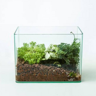 Terrarium